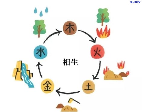 普洱茶五行属性解读：探索其在金、木、水、火、土方面的特性与影响