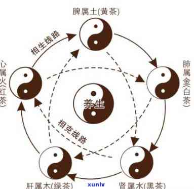 普洱茶五行属性解读：探索其在金、木、水、火、土方面的特性与影响