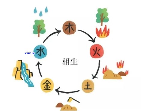 普洱茶五行属性解读：探索其在金、木、水、火、土方面的特性与影响