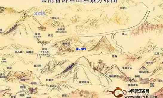 '普洱茶四大山头排名：探寻普洱茶四大产区的名山头'