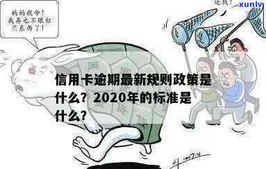 全面解决用户疑问：2020年信用卡逾期新政策解析、影响与应对措