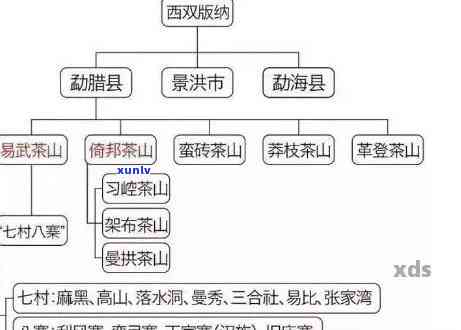 云南临沧大雪山产区的普洱茶种类及其数量解析