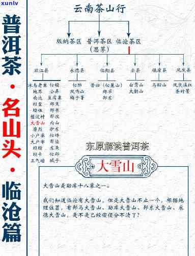 云南临沧大雪山产区的普洱茶种类及其数量解析