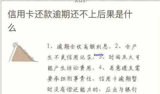 建行信用卡逾期还款全面解析：最新政策、影响与解决方案一应俱全