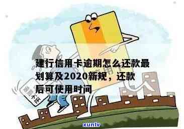 建行信用卡逾期还款全面解析：最新政策、影响与解决方案一应俱全