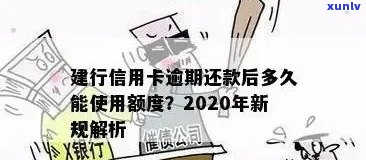 建设银行信用卡逾期还款策略详解：避免罚息与信用损失的关键步骤