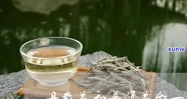 丹参和普洱茶的搭配：是否可行？如何操作？有哪些注意事项？