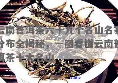 云南十大名寨普洱茶：名山名寨特点、六十九寨排名及十大名茶概述