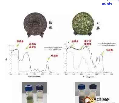 普洱茶的健益处及长期饮用的安全性探讨