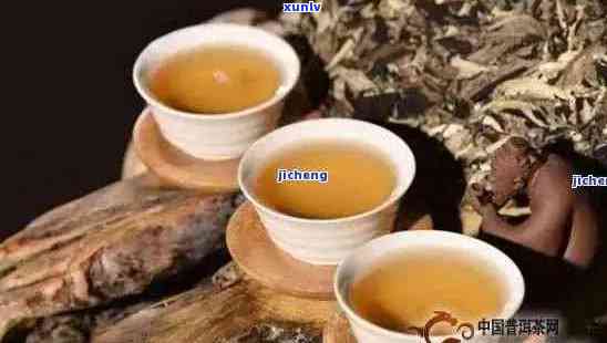 普洱茶七大历典故简介：探究普洱茶背后的故事与传说