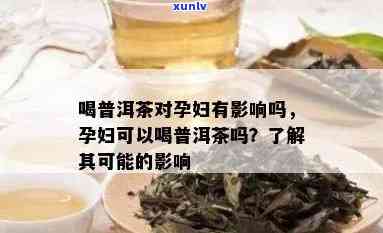 '普洱茶对孕妇的益处与注意事项：孕妇可以喝吗？如何安全饮用？'