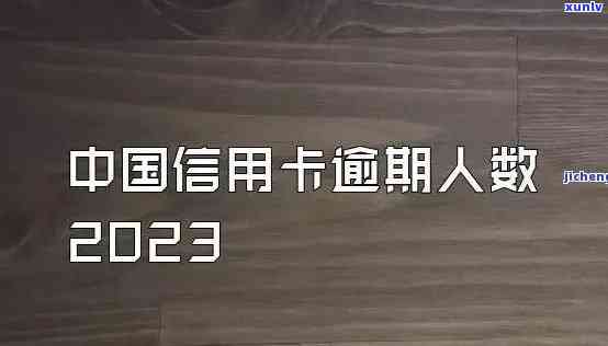 2023年信用卡逾期人数