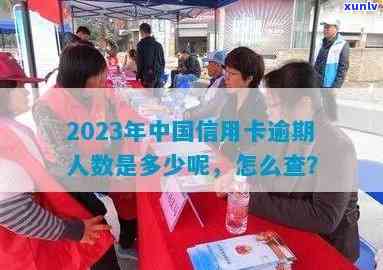 2023年信用卡逾期人数