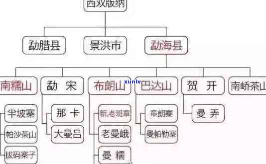 普洱茶全系列解析：从产地、工艺到品种，全面了解普洱茶的种类与特点