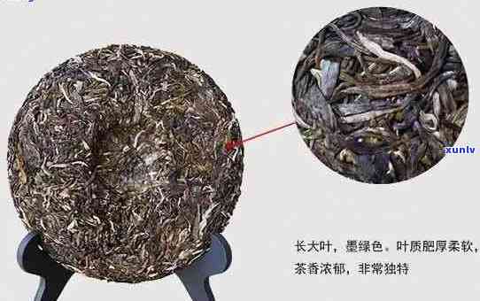 普洱茶圆球：品种特点、品质鉴与冲泡 *** ，一篇全面了解的文章