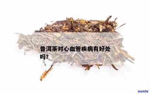 普洱茶对心脑血管疾病患者是否适宜？医生妙手解惑