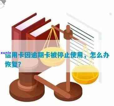 我信用卡逾期，现在卡片被停用，如何恢复信用并解决还款问题？