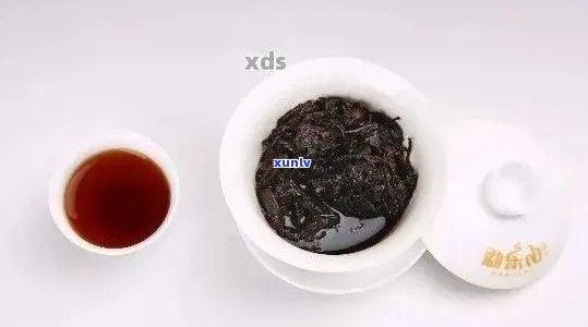 百年福元普洱茶：小罐生茶与熟茶的全方位对比及选购指南