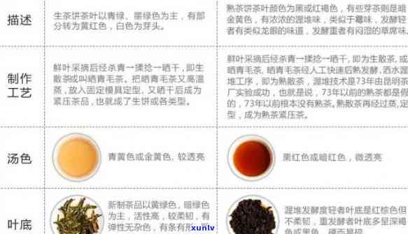 百年福元普洱茶：小罐生茶与熟茶的全方位对比及选购指南