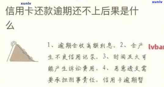 中信信用卡逾期未还款的后果及处理建议