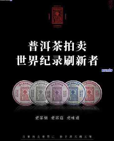 大清同庆普洱茶：品质与价值，拍卖会揭秘