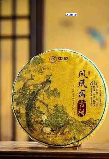 百鸟朝凤普洱熟茶：一款茶叶的价格与礼盒选择指南