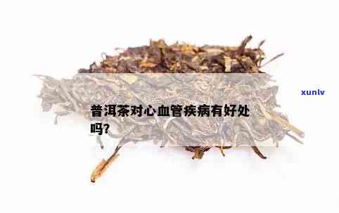 普洱茶心血管病预防与治疗成分解析：一篇文章全面了解