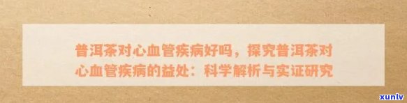 普洱茶心血管病预防与治疗成分解析：一篇文章全面了解