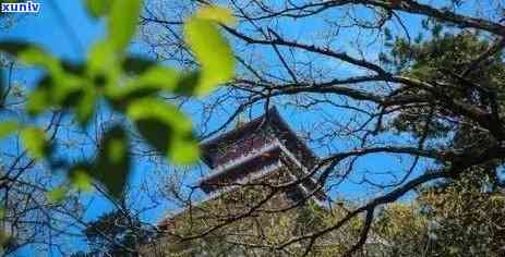 草堂寺建筑：历史、文化、艺术与宗教的融合之美