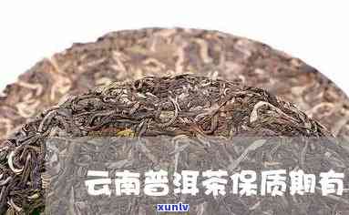 三月滇普洱茶保质期