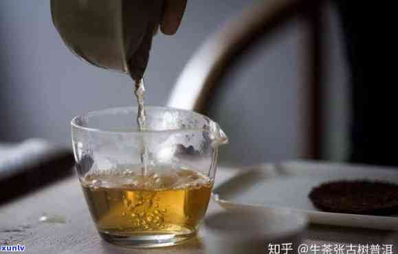 新探索普洱茶头一泡的独特魅力与品质，揭示它是否能作为首选饮品