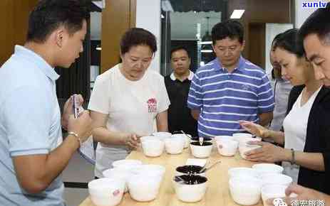 全面解析普洱茶十大名品及品质排名，为您的选购提供参考指南