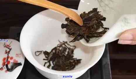 探索普洱茶投茶量：合适个人的一次冲泡体验