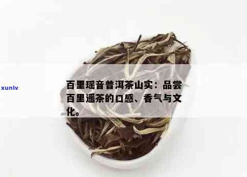 百里遥普洱茶山实：好喝吗？品质如何？