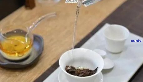 探究普洱茶冲泡的合适度与水量：一款科学泡茶指南