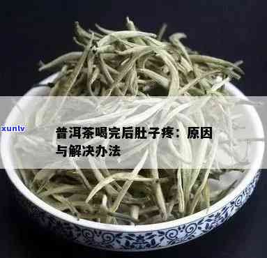 怀孕4个月的我误饮普洱茶后，肚子疼痛不已，如何解决？