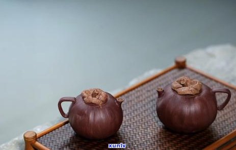 普洱茶泡法及水：泡茶度与时间全解析