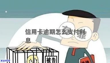 信用卡逾期了怎么刷