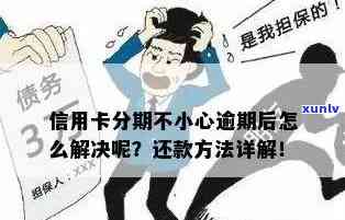 信用卡分期还款与逾期还款：全面解析及如何选择最适合您的方案