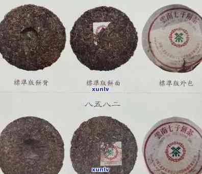 1980年代珍贵古树普洱茶在的价格解析与品鉴指南