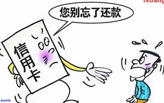 信用卡逾期司法流程：母签字安全吗？怎么办？