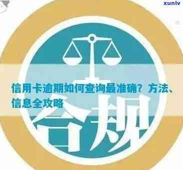 全方位指南：如何查询信用卡逾期信息，解决逾期困扰及避免影响信用评分