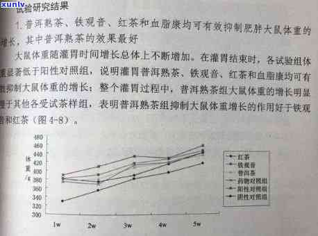 探究普洱茶与减肥的关联：一位医生的专业观点