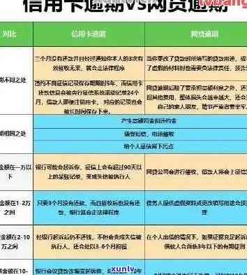 揭秘信用卡逾期还款返现：真实情况与你所知的有何不同？