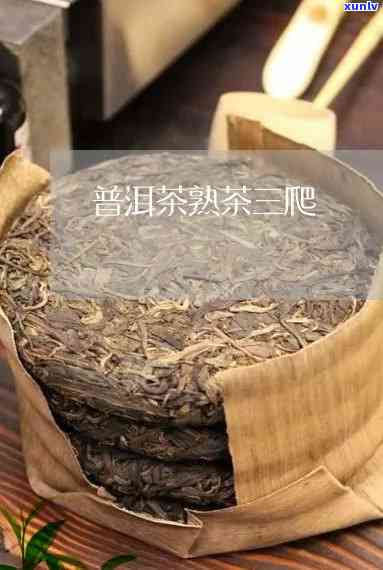 三明可靠的熟普洱茶