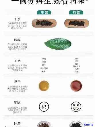 普洱茶叶等级划分对茶叶品质的影响：7级与8级的差别在哪里？