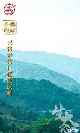 八角亭木老树茶-八角亭木老树茶2007口感