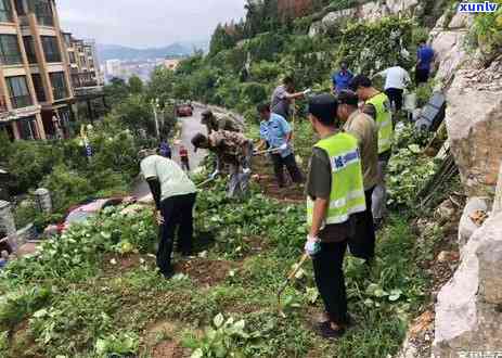 济南地区信用卡逾期问题解决策略：应对 *** 和实用技巧