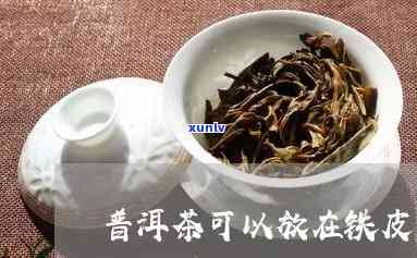 普洱茶和铁皮一起泡好吗-普洱茶和铁皮一起泡好吗能喝吗