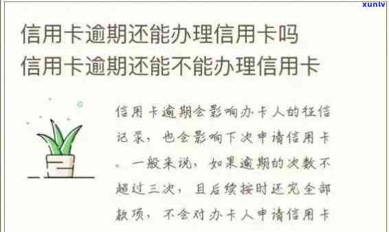 逾期信用卡还款后能否重新办理？如何解决逾期问题并成功申请新信用卡？